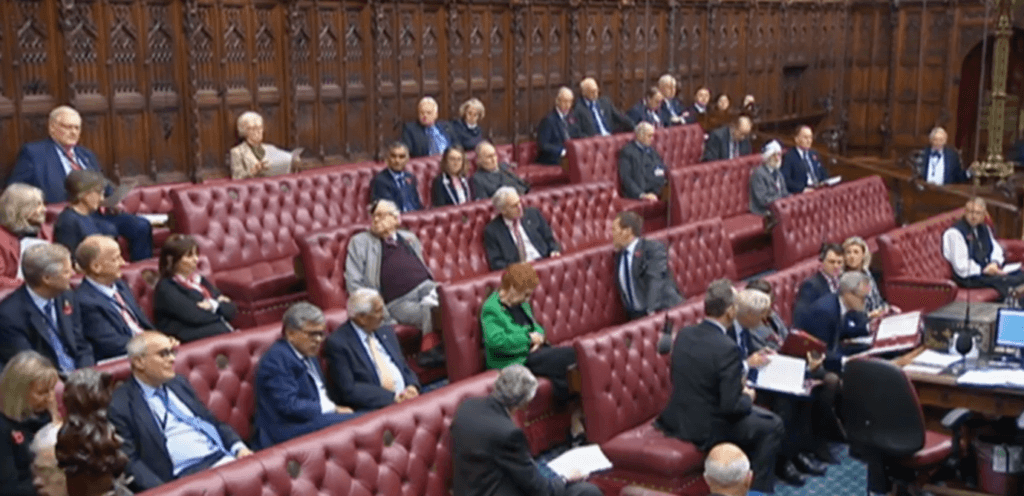 Delay To The Online Safety Bill Debated In The House Of Lords